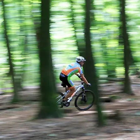 Chalet Op De Veluwe # Beuk דירה