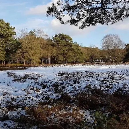 Chalet Op De Veluwe # Beuk דירה