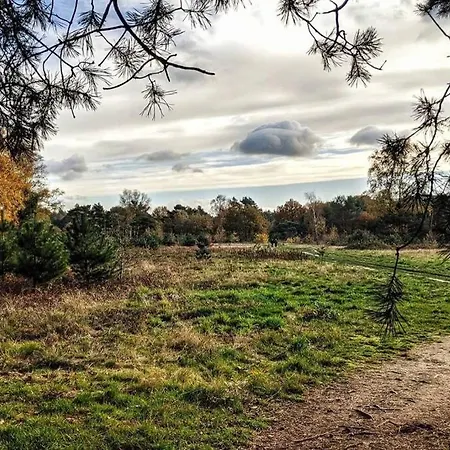 דירה Chalet Op De Veluwe # Beuk פוטן