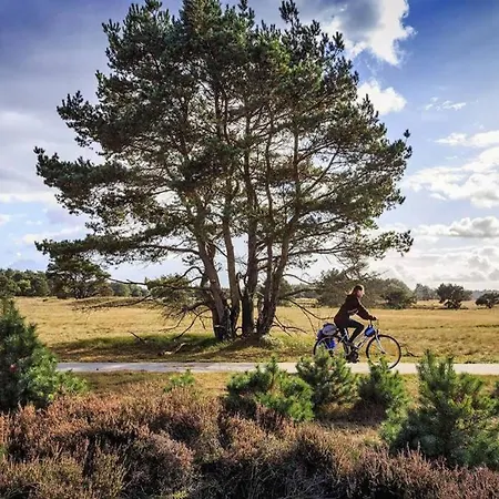 Chalet Op De Veluwe # Beuk דירה