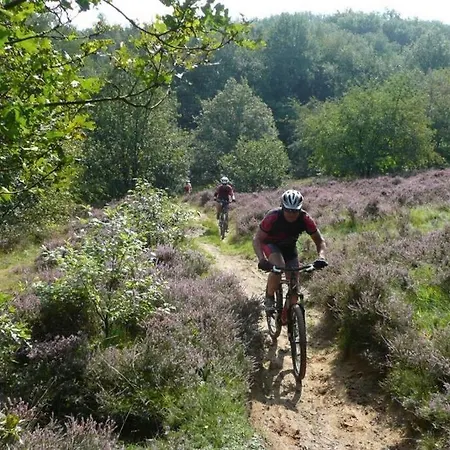 דירה Chalet Op De Veluwe # Beuk פוטן