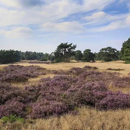 Chalet Op De Veluwe # Beuk דירה
