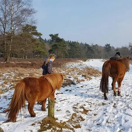 דירה Chalet Op De Veluwe # Beuk פוטן