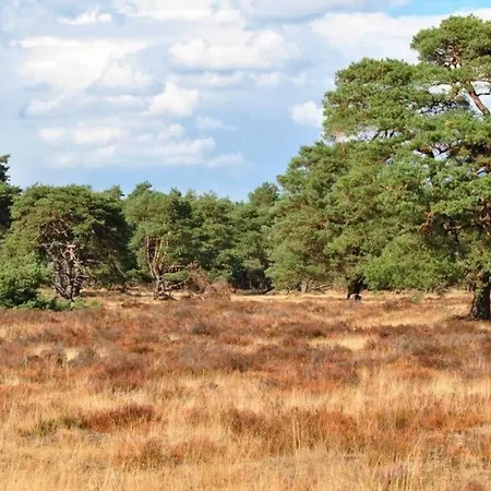 דירה Chalet Op De Veluwe # Beuk *