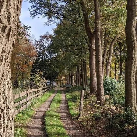 Chalet Op De Veluwe # Beuk * פוטן